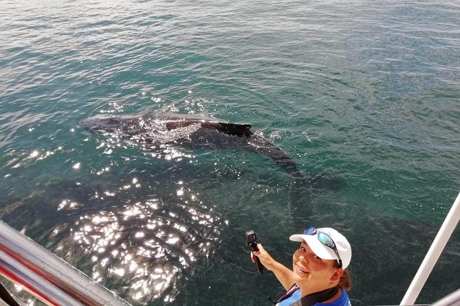 Small-Group Half-Day Whale-Watching Tour in Puerto Vallarta - Price and value: what $110 buys you and what to budget extra