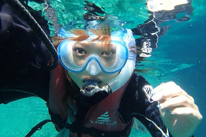 Small-Group Mesoamerican Barrier Reef Snorkeling in Puerto Morelos - Key Highlights Worth Planning Around