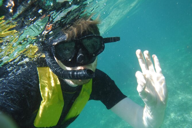 Small-Group Mesoamerican Barrier Reef Snorkeling in Puerto Morelos - Marine life odds, and why your guide does the heavy lifting