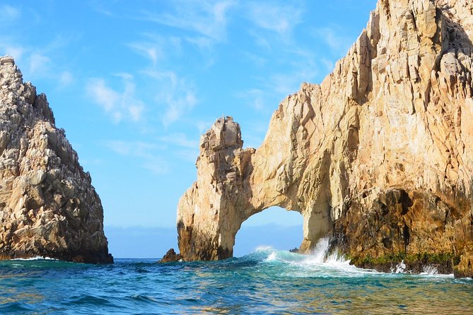 SMALL GROUP Whale Watch | Cabo San Lucas | Biologist | FREE Pics - Whale sightings, what you can expect, and the season window