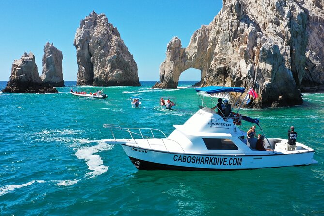 Snorkeling or Swimming with Sharks in Cabo San Lucas - Wildlife sightings beyond sharks: Arch views, sea lions, and sometimes whales