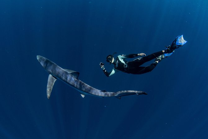 Snorkeling or Swimming with Sharks in Cabo San Lucas - Underwater photos, snacks, and the small-group advantage