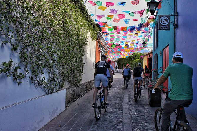 Street Art Bike Ride - Bumpy Cobblestones and Small Hills: Pace and Physical Reality