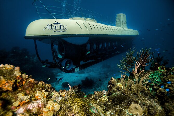 Submarine Atlantis Cozumel Adventure by Day & Sunset - How the timing works: the cruise out, the underwater segment, and getting back