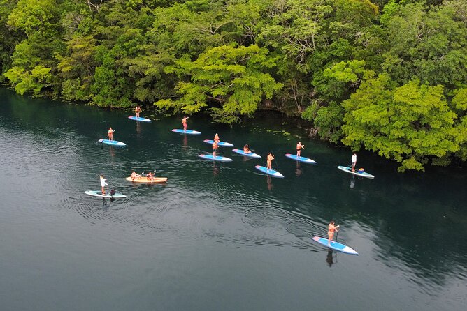 Sunrise by Paddle or Kayak with Floating Picnic - Price and Value: Does $29.80 Really Add Up?