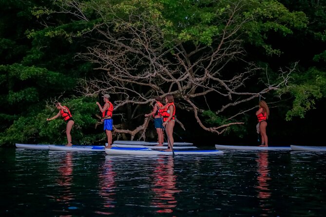 Sunrise Paddle Quest: Embrace the Dawn on Bacalar's Waters - Canal de los Piratas: Mayan and pirate-era sea access in the real world