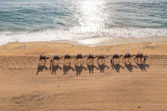 Sunset beach Camel ride with Mexican Buffet and Tequila Tasting - Key points before you go