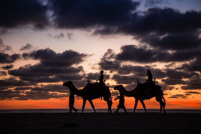 Sunset beach Camel ride with Mexican Buffet and Tequila Tasting - Tierra Sagrada first, the cactus-lined nature walk that sets the tone