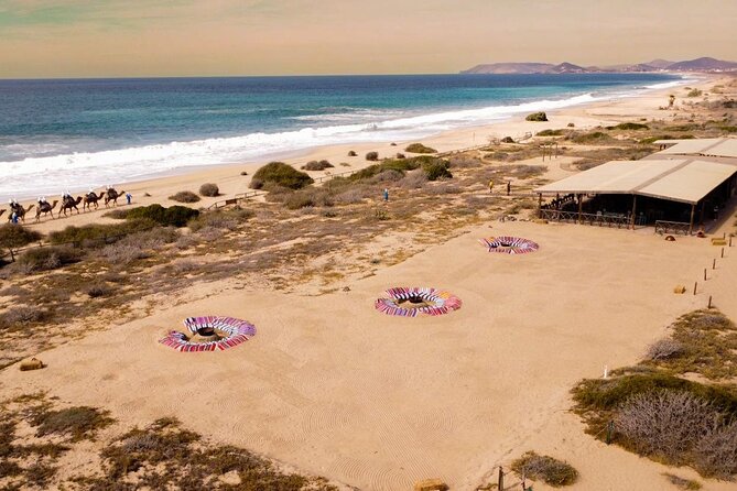 Sunset beach Camel ride with Mexican Buffet and Tequila Tasting - Mexican buffet lunch, what you actually get and how to handle the outdoor setting