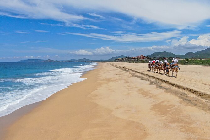 Sunset beach Camel ride with Mexican Buffet and Tequila Tasting - Guide style and group size, why it matters more than you think