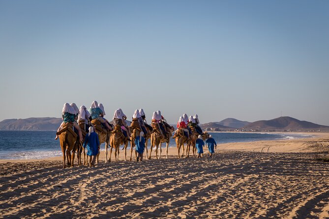 Sunset beach Camel ride with Mexican Buffet and Tequila Tasting - The camel meet-and-greet, what the rules mean for your day