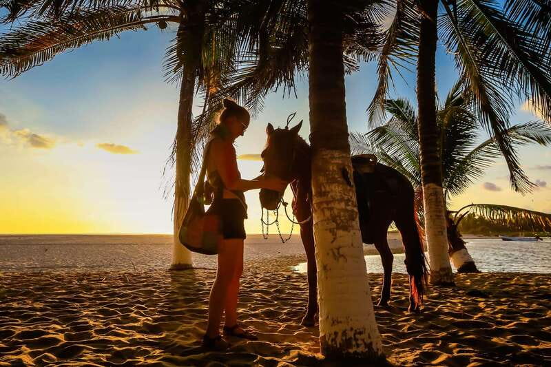 Sunset by Horse on the Beach - Fields, Cattle Land, And a River Crossing That Builds the Story