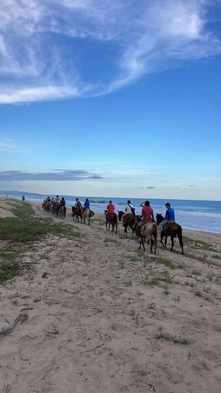 Sunset by Horse on the Beach - The Main Event: Trotting or Galloping Toward the Sea at Sunset