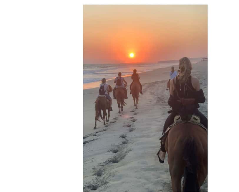 Sunset by Horse on the Beach - Group Feel, Pace, and Timing That Keeps the Day From Dragging