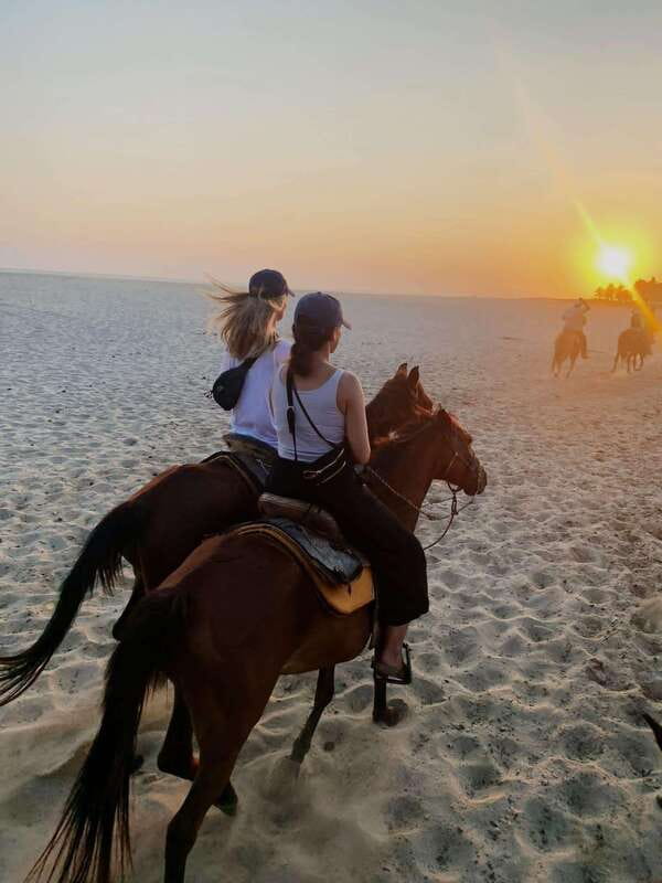 Sunset by Horse on the Beach - First Contact With the Horses: Basics, Control, And Comfort