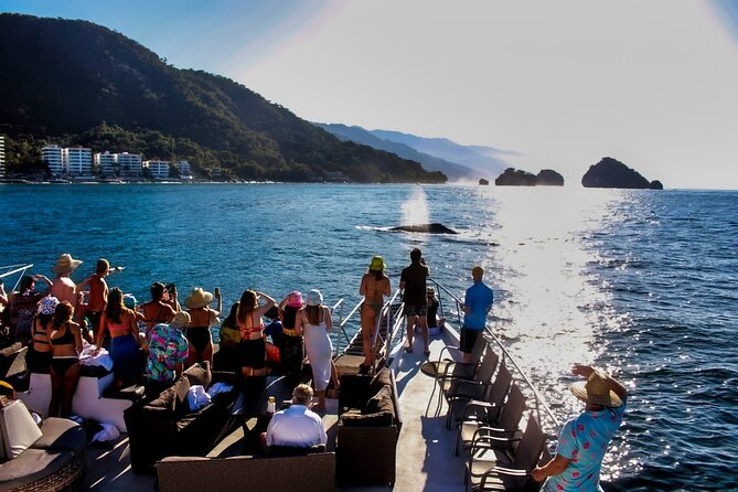 Sunsets and Whales Mega Yachts ALL INCLUSIVE: Puerto Vallarta - Spotty timing and port security, what to expect before you ever see a whale