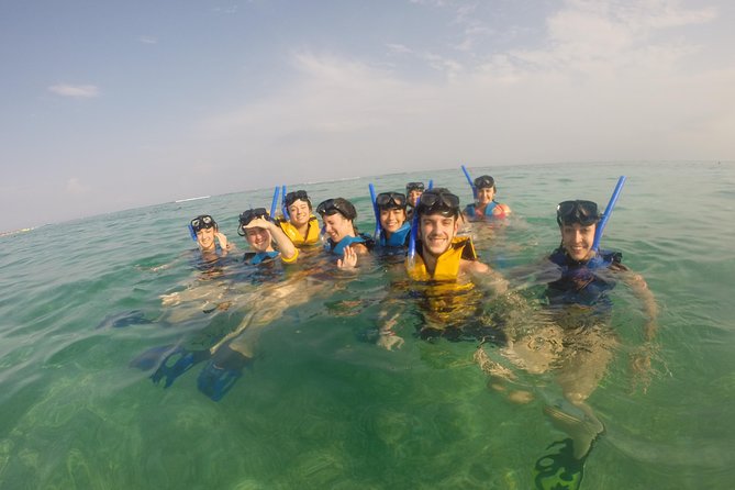 Swim with sea turtles - Akumal sea turtle snorkeling: what makes it worth your time