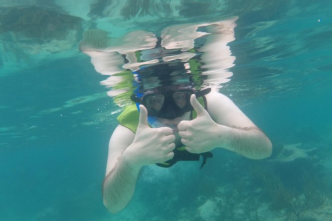 Swim with sea turtles - How the 1 hour 15 minutes plays out at Akumal Beach