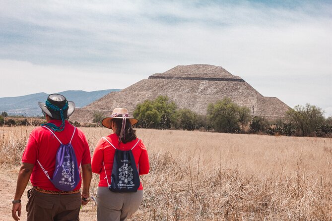 Teotihuacán Full Day Tour from Mexico City - Price and value: what $118.40 covers in real terms