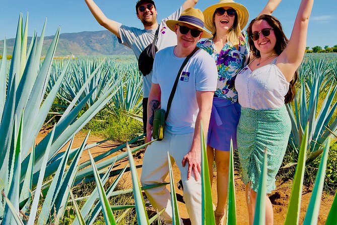 Tequila/Guachimontones Tour-cultural heritage route - Why Guachimontones and Tequila belong together