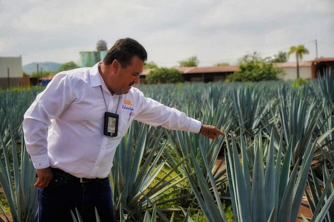 Tequila Tour - Key Things You’ll Notice on This Tequila Tour