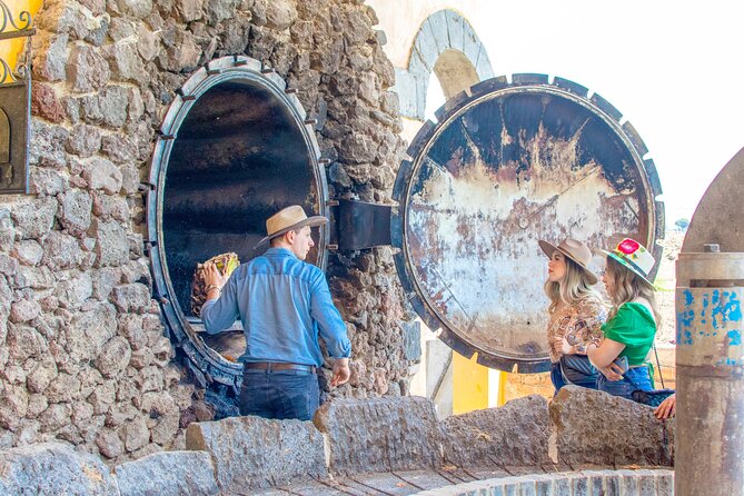 The Agave Experience Tequila Tour in Jalisco - Food and drinks: more than just alcohol