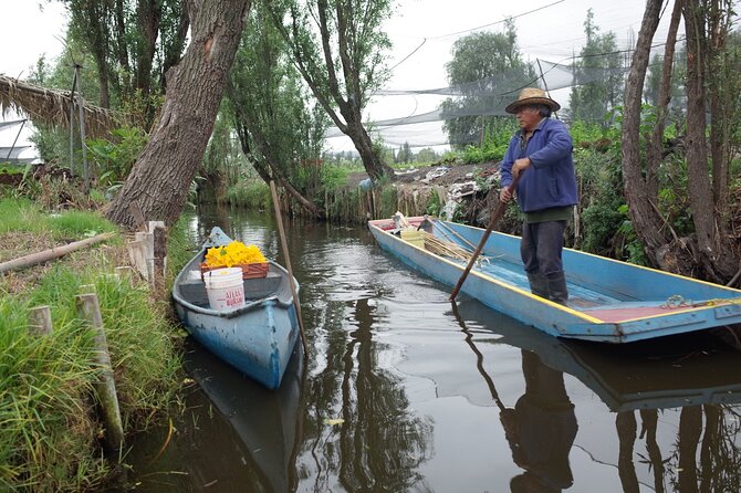 The City Green Exploring the Urban Eco Reserve of Xochimilco - Coffee and composting at Hagamos Composta, then a van ride to UNESCO Xochimilco