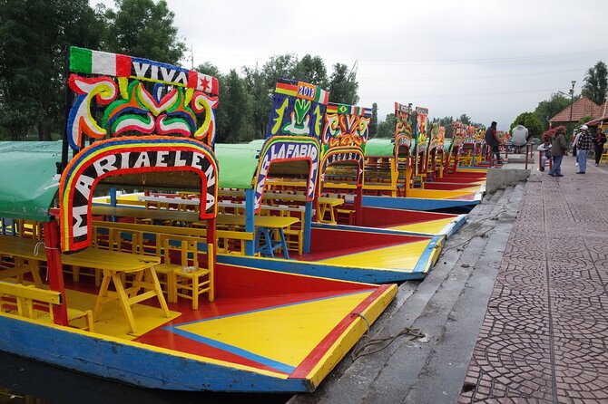 The City Green Exploring the Urban Eco Reserve of Xochimilco - Trajinera through the canals in the eco reserve: chinampas, birds, and calm pacing