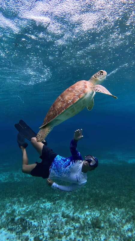 The Cozumel Turtle Sanctuary Snorkel Tour - Who this tour fits best, and who should skip it