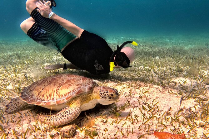 The Cozumel Turtle Sanctuary Snorkel Tour - Boat Rhythm, Crew Energy, and Why the Small Group Matters
