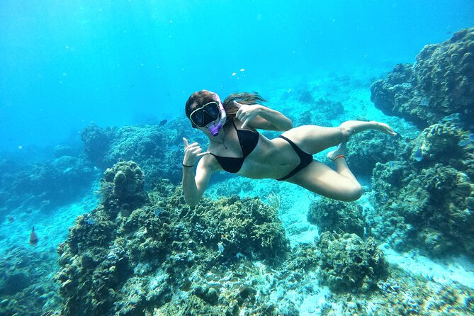 The Cozumel Turtle Sanctuary Snorkel Tour - Stop for Reef Fish, Rays, and the Big-Spotting Feeling