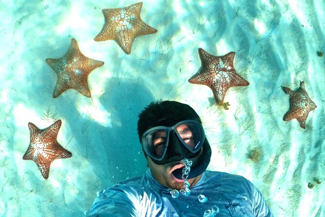 The Cozumel Turtle Sanctuary Snorkel Tour - Price and Value: What $65.58 Really Buys You in Cozumel