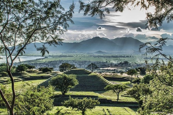 The Fire TOUR - Pyramids, Volcanoes, Agaves & Tequila - The Agave Rows Interlude, why 30 minutes still matters