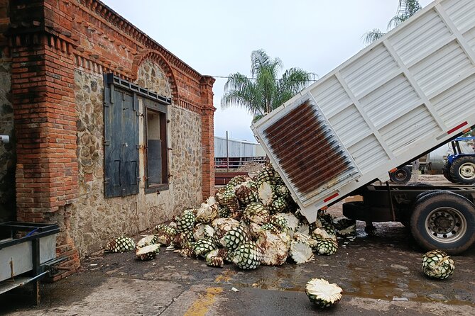 The Fire TOUR - Pyramids, Volcanoes, Agaves & Tequila - Who should book this Fire Tour, and who might want a lighter day