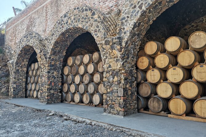 The Fire TOUR - Pyramids, Volcanoes, Agaves & Tequila - Should you book it?