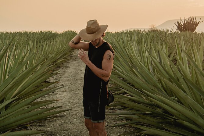 The Mezcal Journey - Key highlights worth planning for