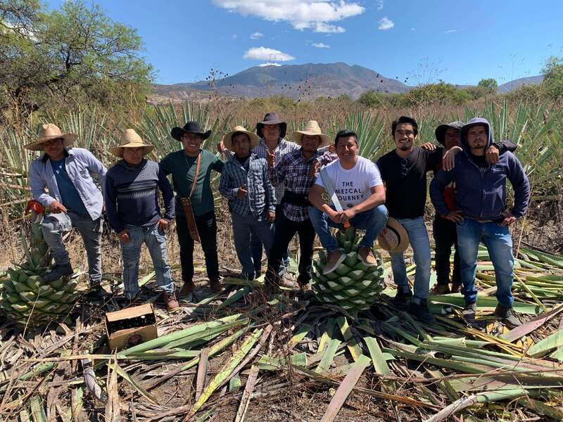 The Mezcal Journey - Timing, pace, and who will enjoy it most