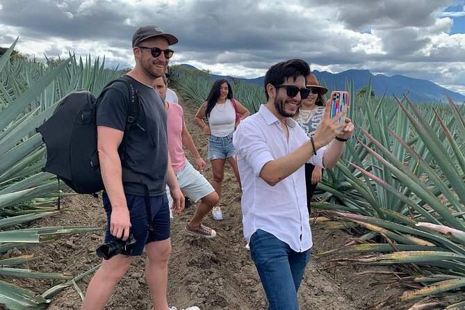 The Mezcal Journey - Campo Enigma guided tour: first look at the agave landscape you’ll remember
