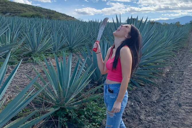 The Mezcal Journey - Inside the artisanal mezcal distillery: private access and the “watch then taste” flow