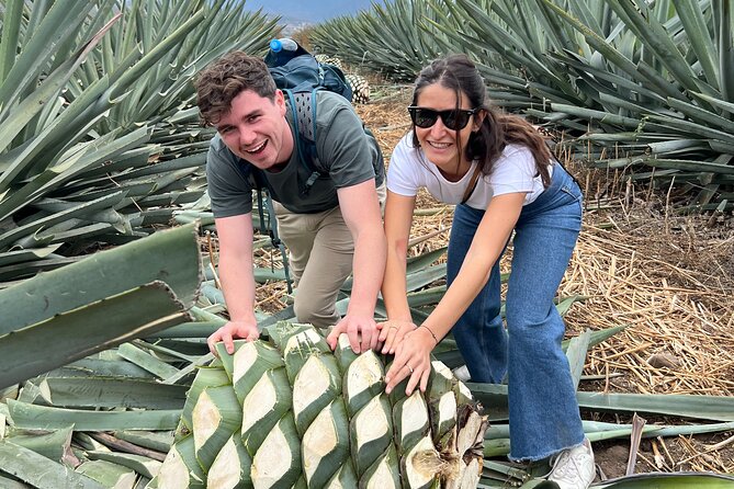 The Mezcal Journey - Unlimited mezcal tasting: how to make it fun instead of messy