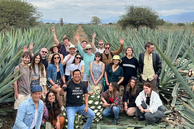 The Mezcal Journey - Agave fields walk and seasonal hands-on work: the part with the best photos