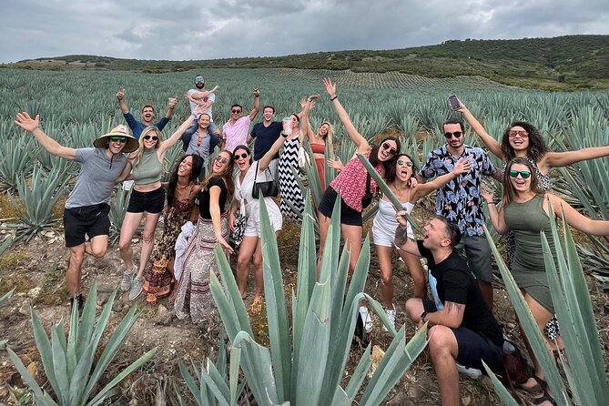 The Mezcal Journey - Meeting in Oaxaca Centro, then heading to Santiago Matatlán