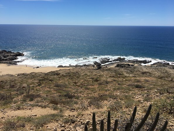 Todos Santos Day Trip from Cabo San Lucas - Pearls at The Velvet Box: A Short Demo With Big Personality