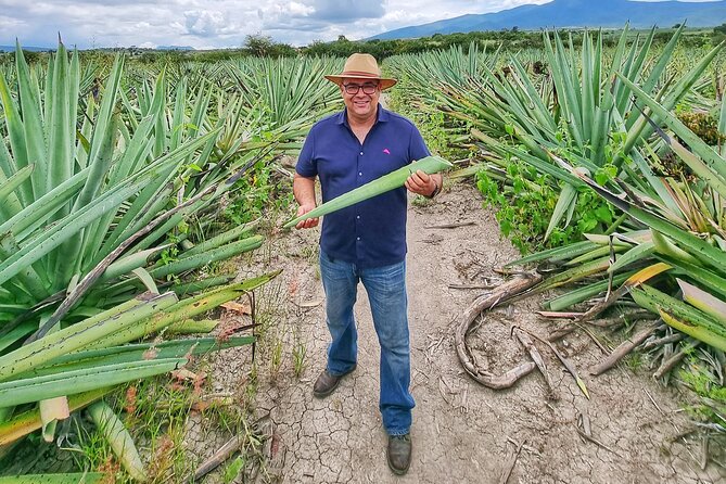 Tour Monte Albán, Hierve el agua, Teotitlán Del Valle and Mezcal - Who this tour suits best (and who might want to adjust)