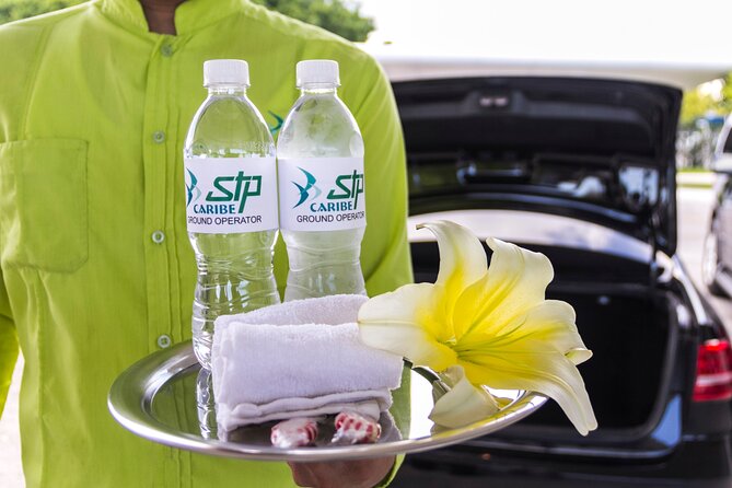 Transfer in Luxury Mercedes Benz Minivan - The Airport Flow: From Immigration to the Van in the Simplest Way