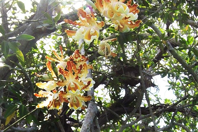 Tulum Archaeological Site & Sian Ka'an Muyil Tour from Tulum - Price and transfers: what $169 covers, and when you’ll pay more