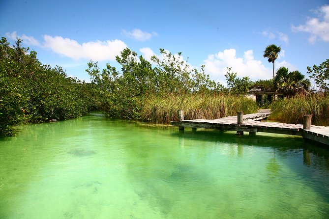 Tulum Archaeological Site & Sian Ka'an Muyil Tour from Tulum - The taco break in Tulum: fuel up, then keep the day relaxed