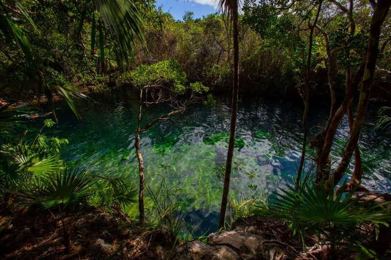 Tulum: Cenote Trail Bike Tour - Jungle biking on quality bikes: terrain, pacing, and safety on a short half-day