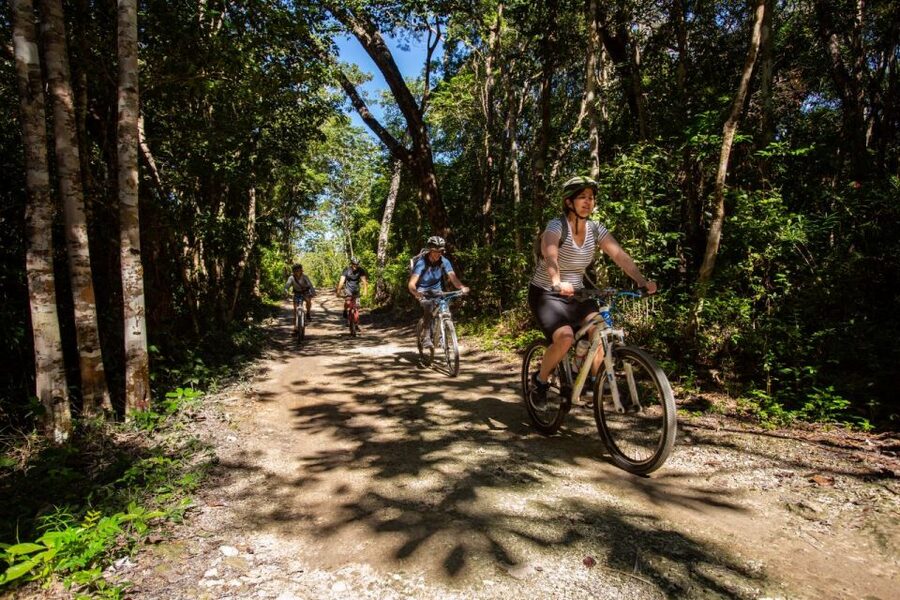Tulum: Cenote Trail Bike Tour - Group size, guide energy, and language options that actually help