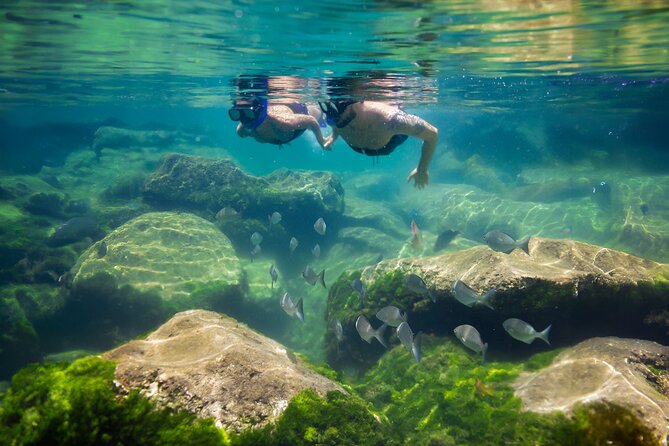 Tulum Guided Tour, Magical Cenote, Lagoon Snorkeling and Beachside Lunch - Price and Value: Is $169 a Good Deal
